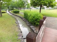 松原中央公園（東京都瑞穂町） の写真 (2)