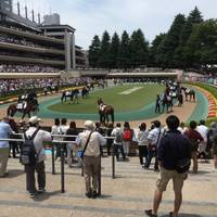 Kentaro Soharaさんが撮った 東京競馬場 の写真