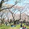 小石川植物園