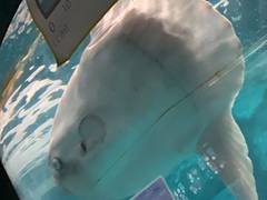 山口の子連れ旅行におすすめ観光施設15選 子供向けイベント開催や赤ちゃん連れも楽しめる 子連れのおでかけ 子どもの遊び場探しならコモリブ