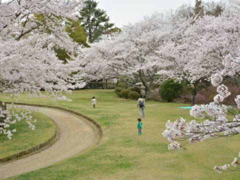 杉村公園 子連れのおでかけ 子どもの遊び場探しならコモリブ 杉村公園 子連れのおでかけ 子どもの遊び場探しならコモリブ