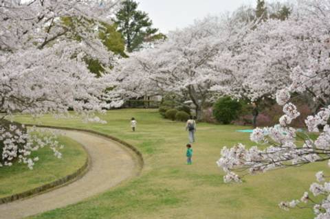 杉村公園 子連れのおでかけ 子どもの遊び場探しならコモリブ