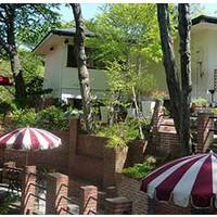 Cafe terrace 樹ガーデン の写真 (1)