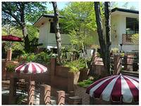 Cafe terrace 樹ガーデン の写真 (1)