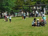 篠崎公園 の写真 (3)