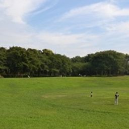 東京でこの冬開催予定のグルメイベント5選 Comolib Magazine