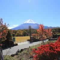 富士山 の写真 (3)
