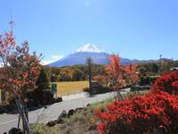 富士山 の写真 (3)