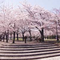 奈良原公園（ならはらこうえん） の写真 (1)