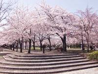 奈良原公園（ならはらこうえん） の写真