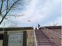 三里塚さくらの丘　（さんりづかさくらのおか） の写真 (2)