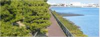 京浜島つばさ公園 （けいひんじまつばさこうえん） の写真 (3)