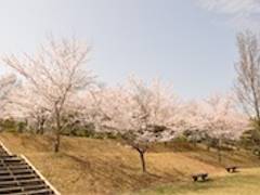 三重県民の森 子連れのおでかけ 子どもの遊び場探しならコモリブ 三重県民の森 子連れのおでかけ 子どもの遊び場探しならコモリブ