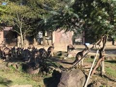 アスレチックができる横浜のスポット6選 公園や動物園も 子連れのおでかけ 子どもの遊び場探しならコモリブ アスレチックができる横浜のスポット6選 公園や動物園も 子連れのおでかけ 子どもの遊び場探しならコモリブ