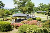 愛宕山(あたごやま)ふるさと公園 の写真