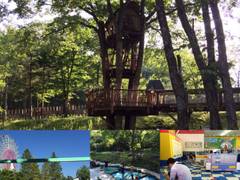 軽井沢おもちゃ王国 子連れのおでかけ 子どもの遊び場探しならコモリブ