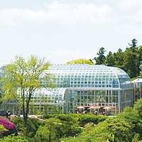 高知県立牧野植物園(こうちけんりつまきのしょくぶつえん) の写真 (2)