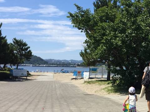 海の公園 海水浴場 子連れのおでかけ 子どもの遊び場探しならコモリブ