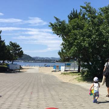 海の公園 海水浴場 子連れのおでかけ 子どもの遊び場探しならコモリブ