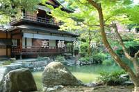 京都御苑 の写真 (1)