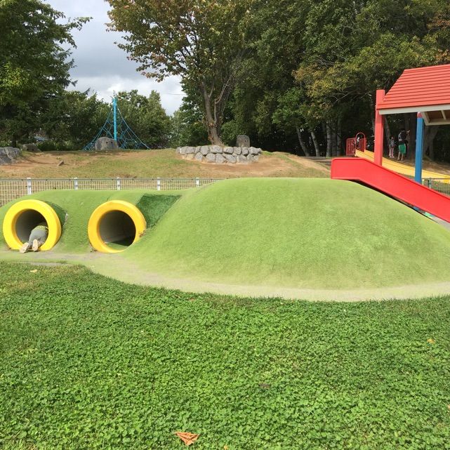 小野幌くりの木公園 子連れのおでかけ 子どもの遊び場探しならコモリブ