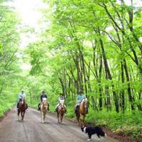 カナディアンキャンプ北海道　乗馬クラブリーフ 北海道(苫小牧・千歳) ホーストレッキング(乗馬) の写真 (3)