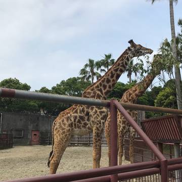 宮崎県の子連れ遊び場30選 子供に人気公園やお出かけ観光にも最適なイベント開催施設も 子連れのおでかけ 子どもの遊び場探しならコモリブ