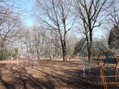 智光山公園キャンプ場 子連れのおでかけ 子どもの遊び場探しならコモリブ 智光山公園キャンプ場 子連れのおでかけ 子どもの遊び場探しならコモリブ