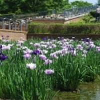 庄堺公園（しょうさかいこうえん） の写真 (2)