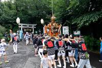 星川杉山神社 の写真