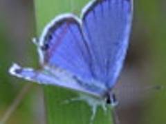 きらら浜自然観察公園