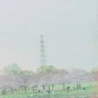 大仙公園 の写真