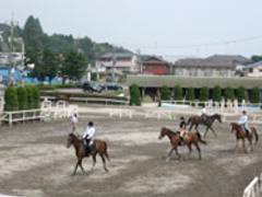 東京で乗馬体験できる場所12選。都内でポニーや馬に乗るスポットや馬事公苑もご紹介。