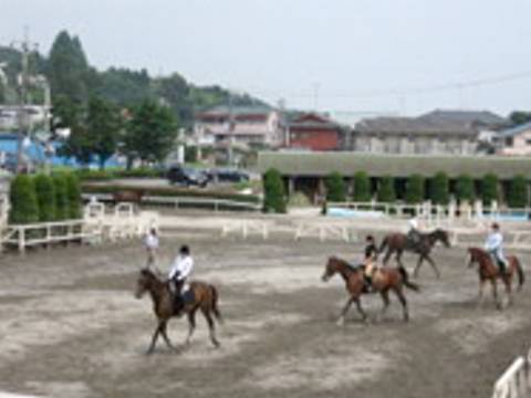東京で乗馬体験できる場所12選 都内でポニーや馬に乗るスポットや馬事 東京で乗馬体験できる場所12選 都内でポニーや馬に乗るスポットや馬事