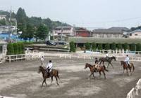 八王子乗馬クラブ の写真 (1)
