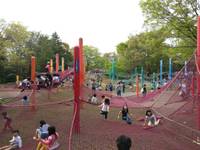 国営昭和記念公園 こどもの森 の写真 (3)