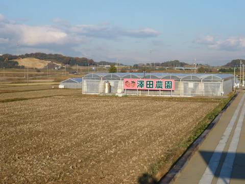 澤田農園 さわだのうえん 子連れのおでかけ 子どもの遊び場探しならコモリブ