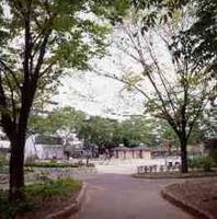 戸山公園 の写真