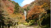 神庭の滝自然公園 の写真 (1)