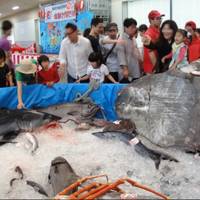 沼津魚市場 INO（イーノ） の写真 (2)