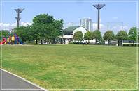 横浜市新杉田公園 の写真 (3)
