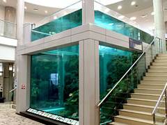 奄美海洋展示館 子連れのおでかけ 子どもの遊び場探しならコモリブ