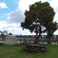 トンボの池公園・パークゴルフ夢の里兵庫 の写真 (1)