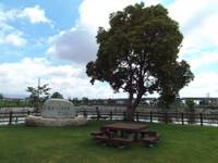 トンボの池公園・パークゴルフ夢の里兵庫 の写真 (1)