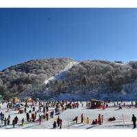 茶臼山高原スキー場 の写真 (3)