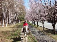 カナディアンキャンプ乗馬クラブ八ヶ岳 の写真 (2)