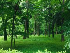 吉祥寺にある子連れ遊び場選 子供が喜ぶ公園や赤ちゃん連れが楽しめるキッズスペースも 子連れのおでかけ 子どもの遊び場探しならコモリブ