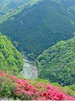 嵐山 高雄パークウエイ の写真 (3)