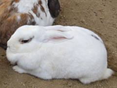 和歌山公園動物園