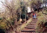 飯山白山森林公園 の写真 (3)